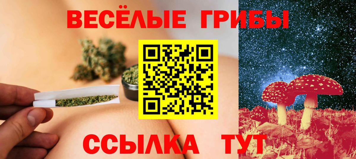 Полевской  Псилоцибиновые грибы Psilocybe  Вход с VPN 
